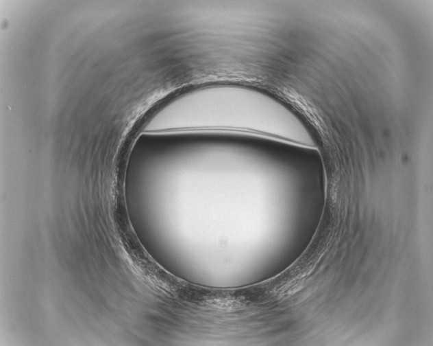 X0000088040540200705110827