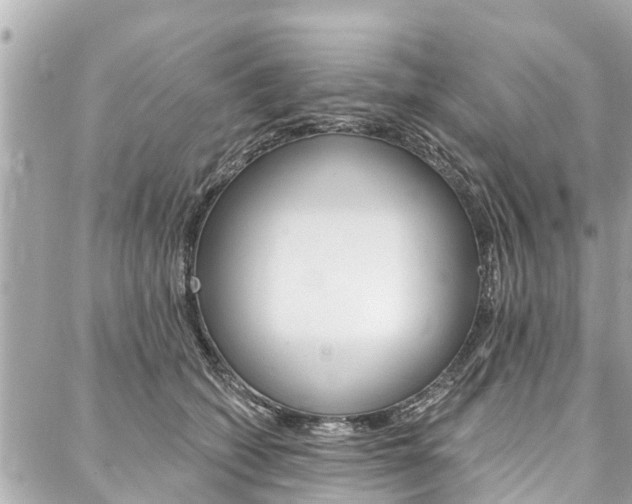 X0000088040562200705110827