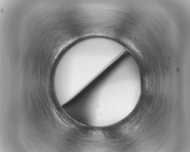 X0000088040588200705110826
