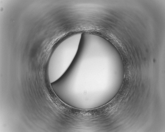 X0000088040640200705110825