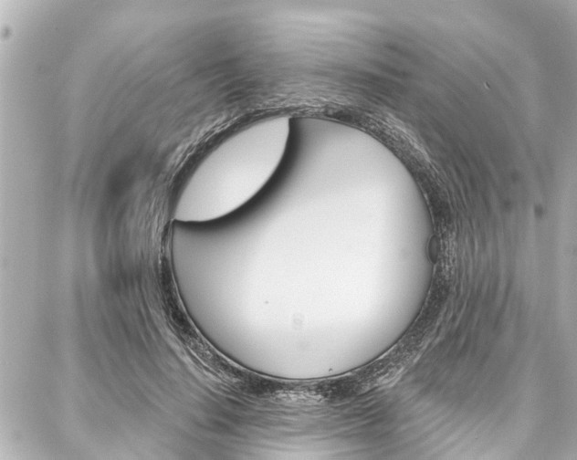 X0000088040644200705110825