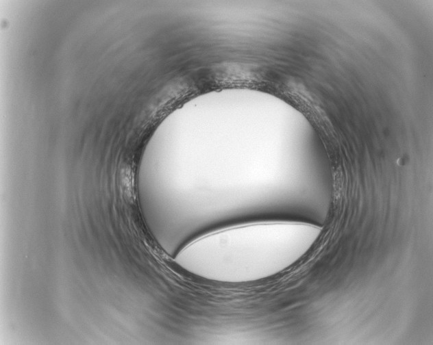 X0000088040669200705110826