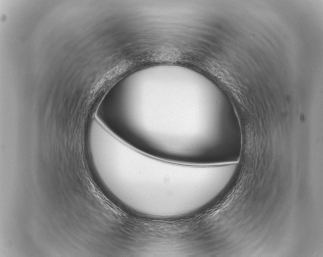 X0000088040681200705110825