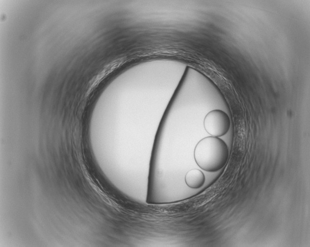 X0000088040734200705110824