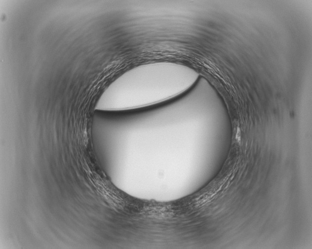 X0000088040771200705110823