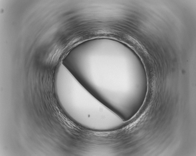X0000088040825200705110822