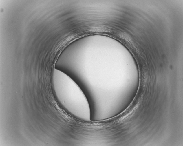 X0000088040833200705110822