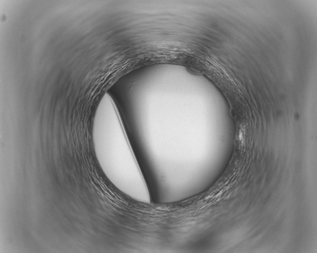 X0000088040867200705110822