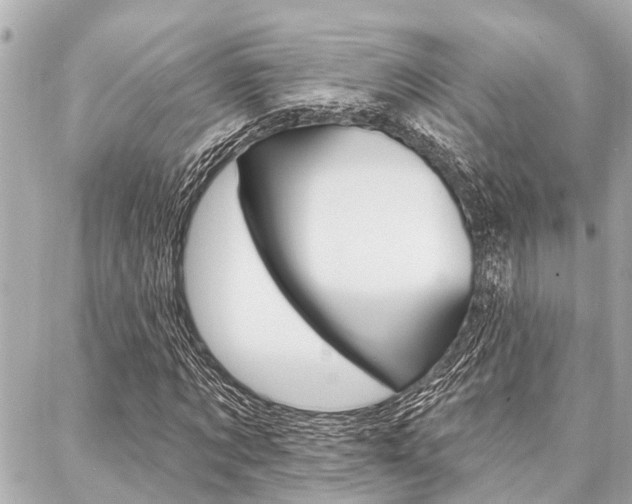 X0000088040869200705110822