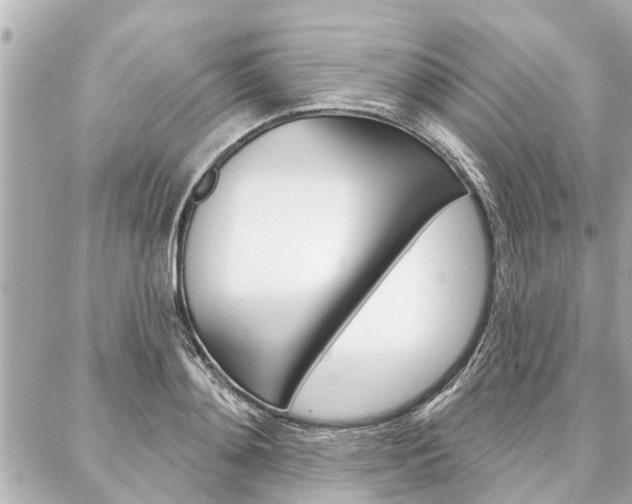 X0000088040892200705110821