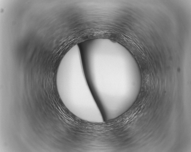 X0000088040914200705110820