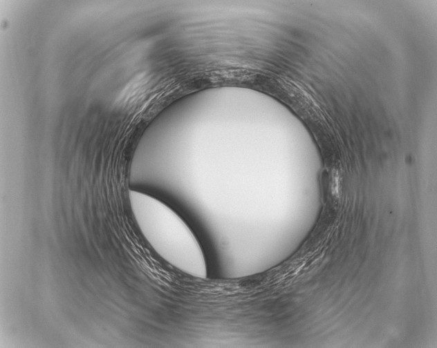 X0000088040915200705110820