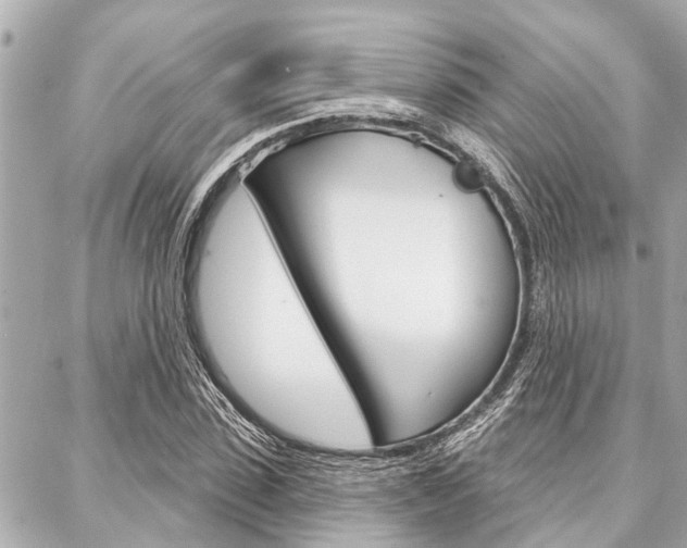 X0000088040923200705110820