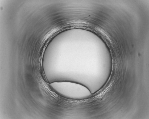 X0000088040970200705110820