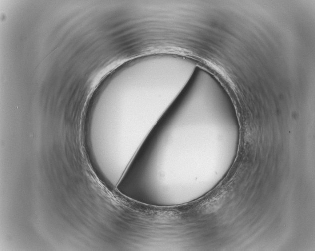 X0000088040979200705110820
