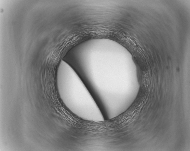 X0000088041009200705110819