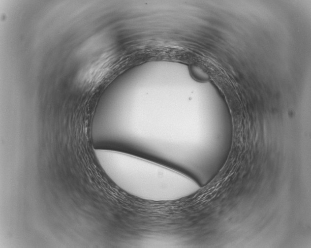 X0000088041013200705110819