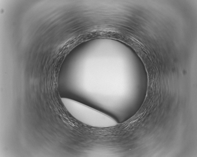 X0000088041014200705110819
