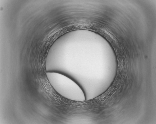 X0000088041015200705110819