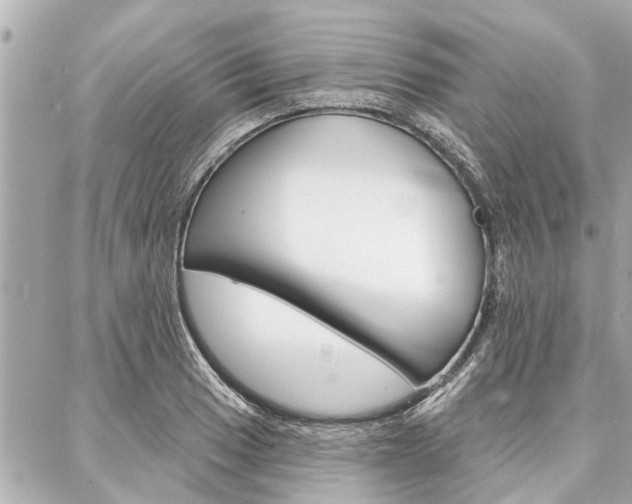 X0000088041033200705110819
