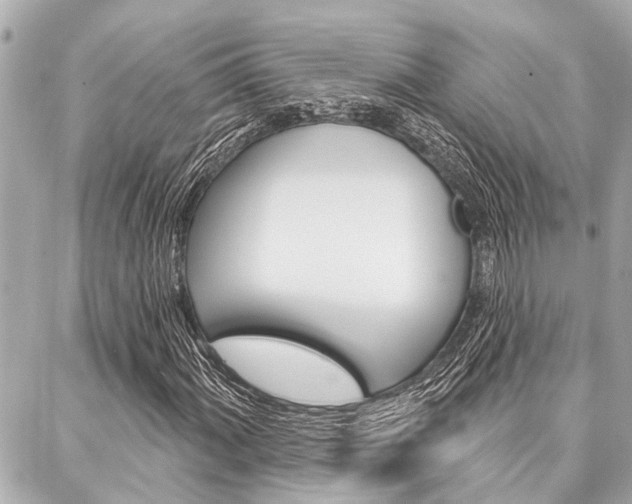 X0000088041060200705110819