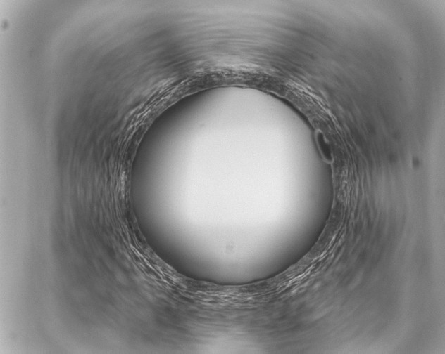 X0000088041061200705110819