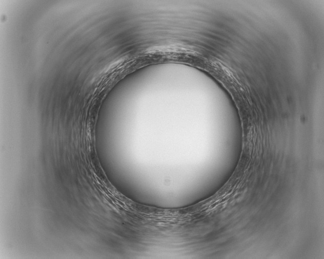 X0000088041062200705110819
