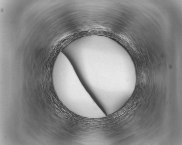 X0000088041063200705110819