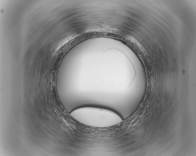 X0000088041064200705110819