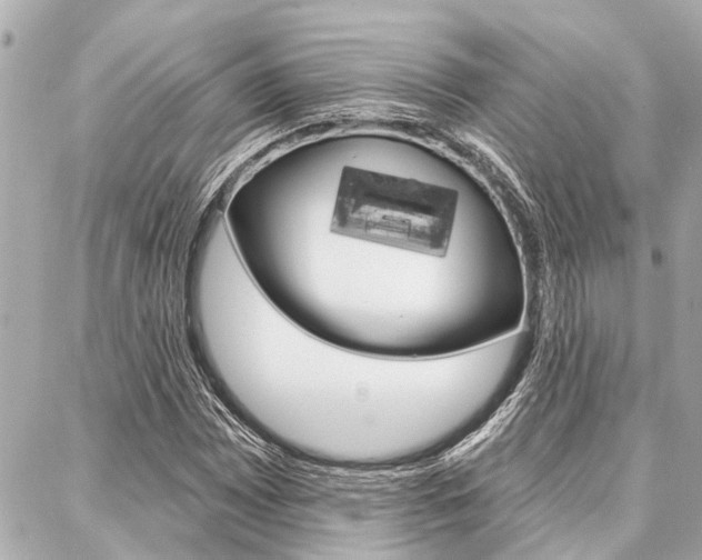 X0000088041065200705110819