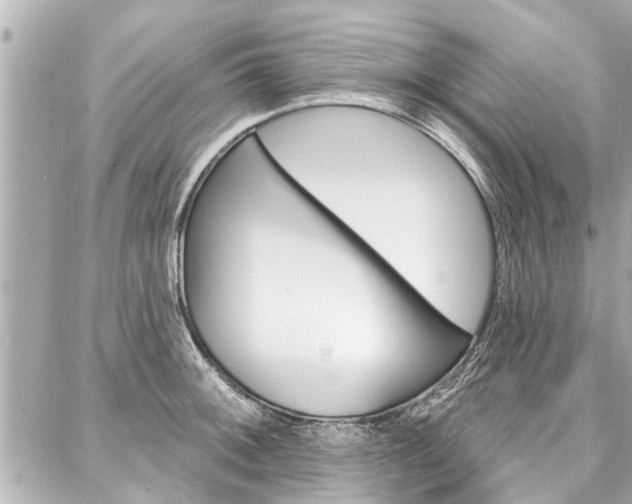 X0000088041092200705110818