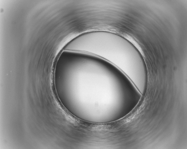 X0000088041093200705110818