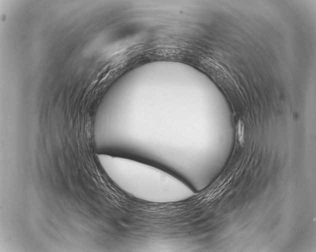 X0000088041107200705110817