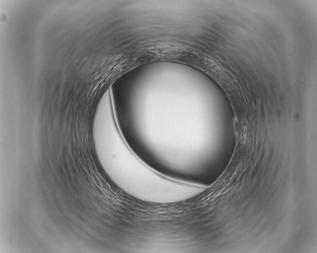 X0000088041108200705110817