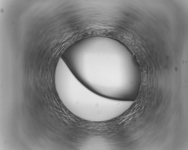 X0000088041109200705110817