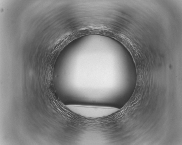 X0000088041110200705110817