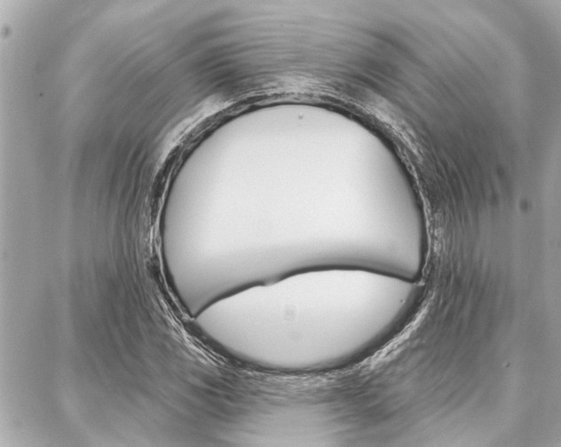 X0000088041117200705110817