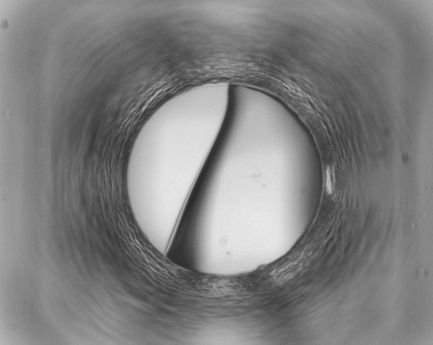 X0000088041155200705110817