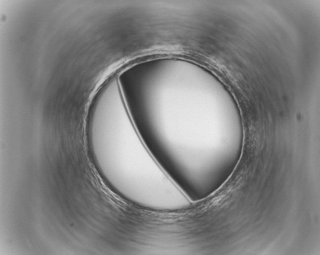 X0000088041168200705110817