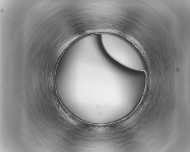 X0000088041177200705110817