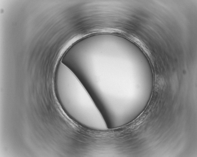 X0000088041187200705110817