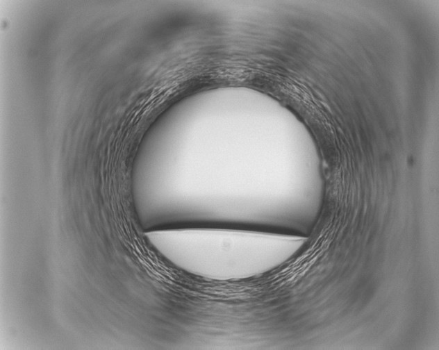 X0000088041201200705110816