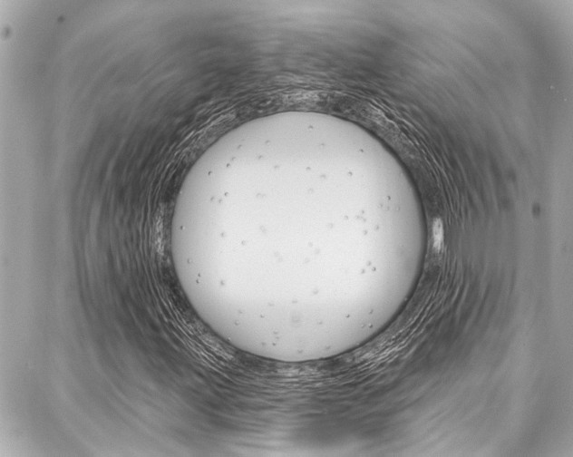 X0000088041203200705110816