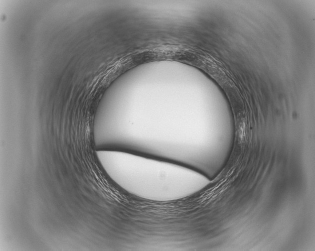 X0000088041204200705110816