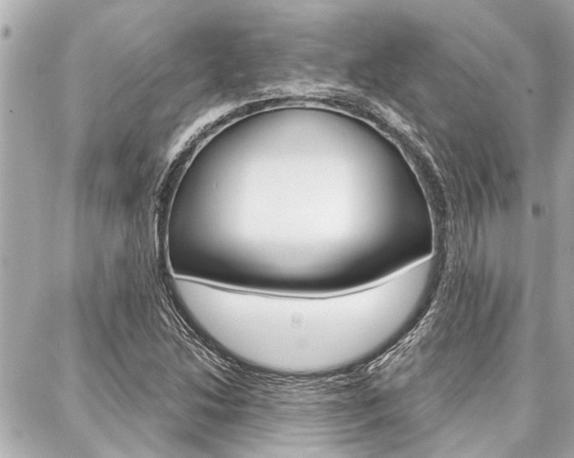 X0000088041214200705110816