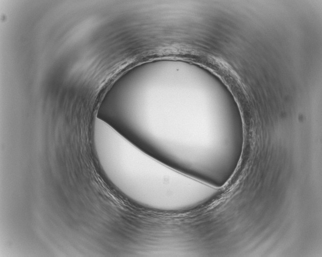 X0000088041217200705110816