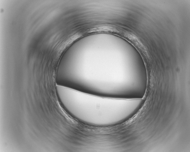 X0000088041233200705110816