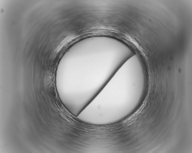 X0000088041259200705110815
