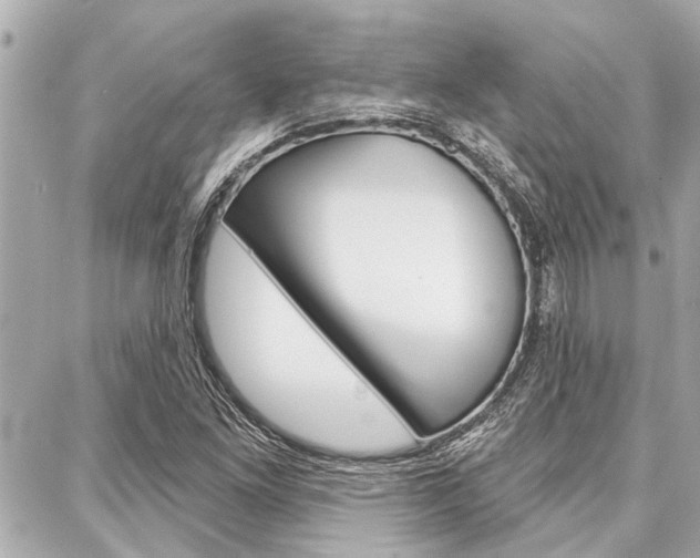 X0000088041261200705110815