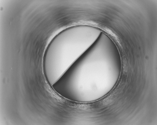 X0000088041280200705110815